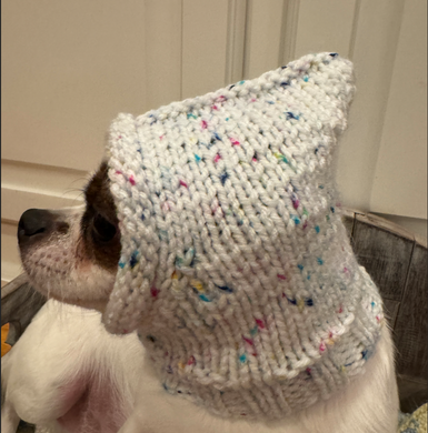 Knitted Dog hat for Chihuahua small dog, Handmade in USA, Pixie Style
