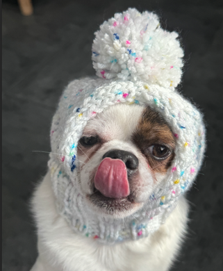 Knitted Dog hat with Pom Pom for Chihuahua small dog, Hand-knitted
