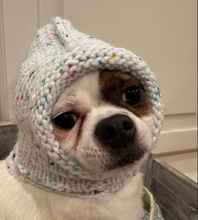 Knitted Dog hat for Chihuahua small dog, Handmade in USA, Pixie Style