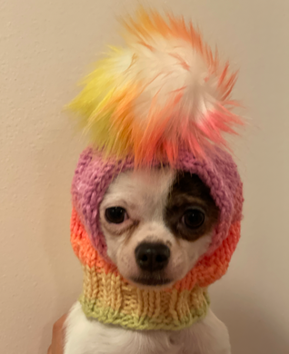 Knitted Dog hat with faux fur Pom Pom for Chihuahua small dog, Hand-knitted